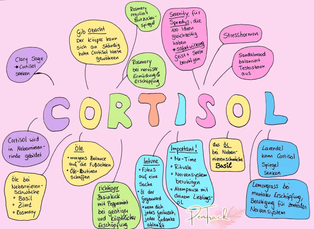 Lernen mit Leichtigkeit_Ein gehirn-gerechtes Wort-Bild mit dem Wort Cortisol