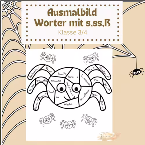 Ausmalbild Wörter mit s,ss,ß Klasse 3/4: Zu sehen ist eine Spinne, die farblich ausgemalt werden kann. In der Spinne sind Wörter, die entweder mit s,ss oder ß geschrieben werden in der Mitte.