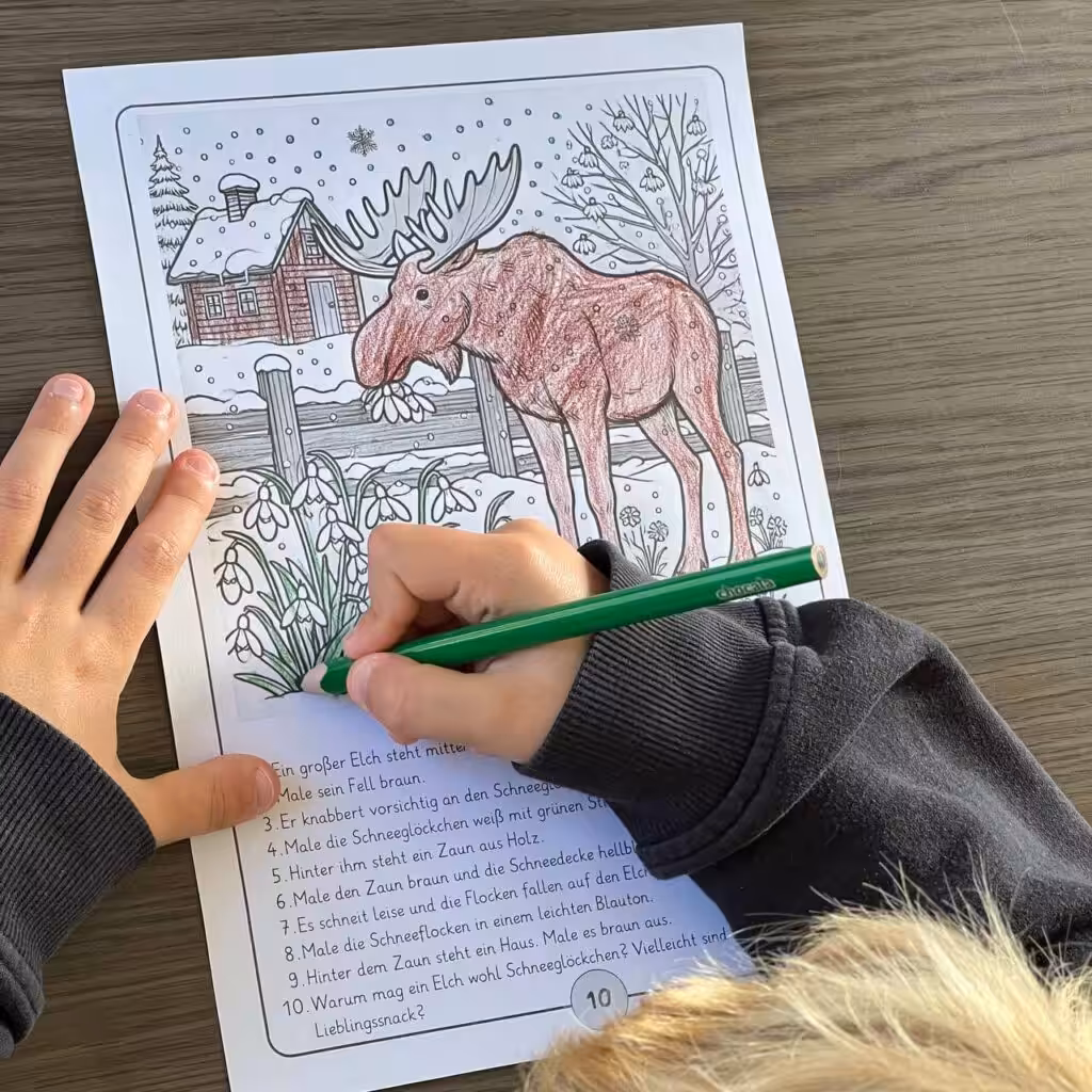 Ein Junge sitzt am Tisch und malt mit einem grünen Buntstift ein Bild aus. Das Bild zum Ausmalen zeigt einen Elch im Garten. Es ist Winter. Unter dem Bild stehen 10 Sätze.